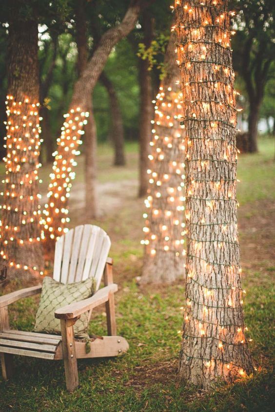 Backyard Lighting Ideas: Catchy Sparkling Trees