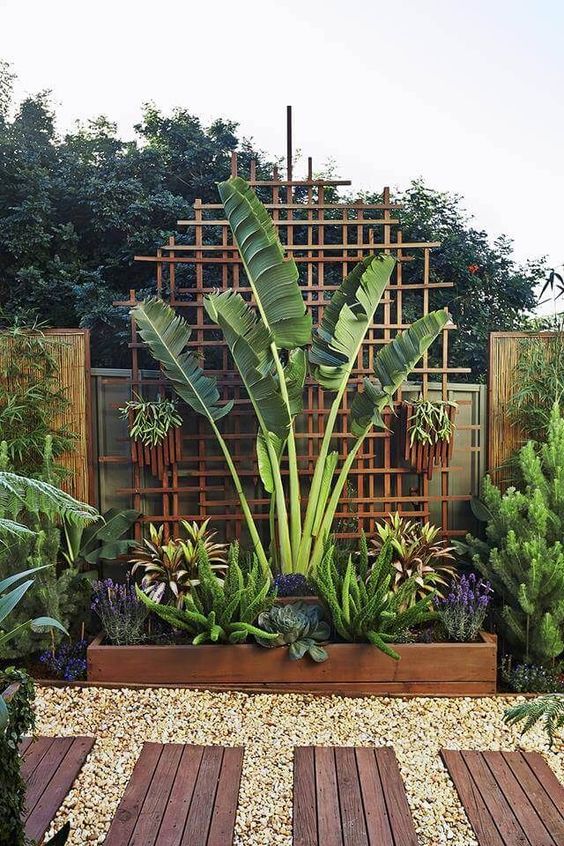 Tropical Backyard Ideas: 20+ Beautifully Refreshing Decors ...