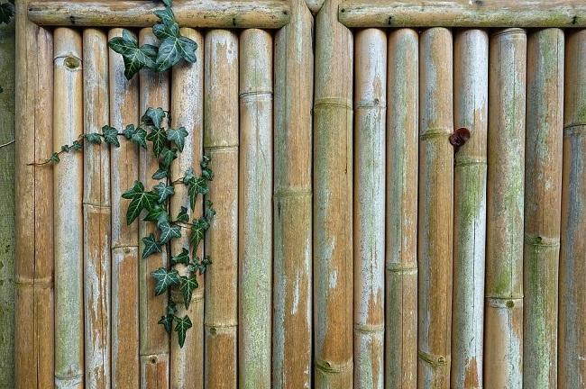 How to Choose a Backyard Fence 4