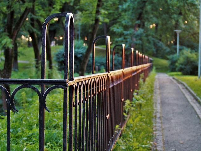How to Choose a Backyard Fence